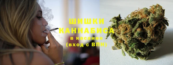 гидра Березники