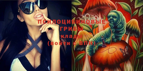 гашик Михайловка
