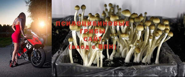 мдпв Навашино
