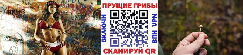 KRAKEN рабочий сайт  Инза  Галлюциногенные грибы Cubensis 